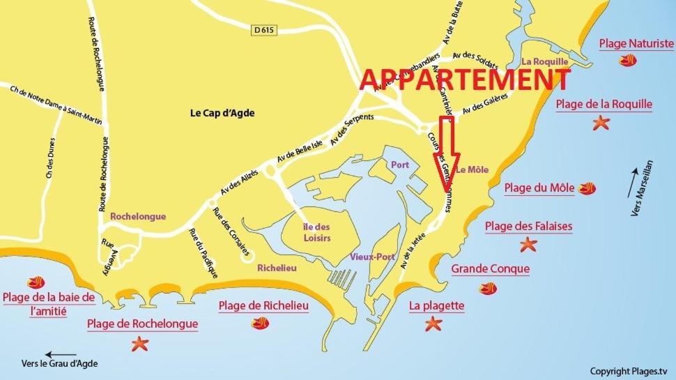Апартаменти Cap D'Agde 300M Plage Du Mole,Vue Port,Parking,Lave Linge,Piscine Екстер'єр фото